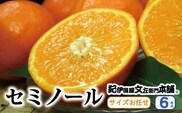 セミノールオレンジ 約6kg/サイズおまかせ　※2023年4月中旬～5月下旬頃に順次発送予定(お届け日指定不可)　紀伊国屋文左衛門本舗　【ntb480】