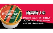 プレミアムジェラート 南高梅うめソルベ12個セット アイスクリームセット 100mlカップ ゆあさジェラートラボラトリー【ntb700-06】