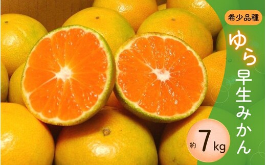 濃厚な味わい ゆら早生みかん 約7kg サイズ混合【10月より発送】希少品種《有機質肥料100％》※2026年10月～11月に発送予定【nuk002F】 