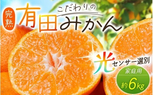 【2026年11月発送予約】 ご家庭用 こだわりの有田みかん 約6kg＋150g(傷み補償分) 光センサー選別 農家直送 / みかん ミカン 有田みかん 温州みかん 柑橘 フルーツ 果物 くだもの 旬 人気 みかん先行予約 家庭用 和歌山【nuk102-11B】