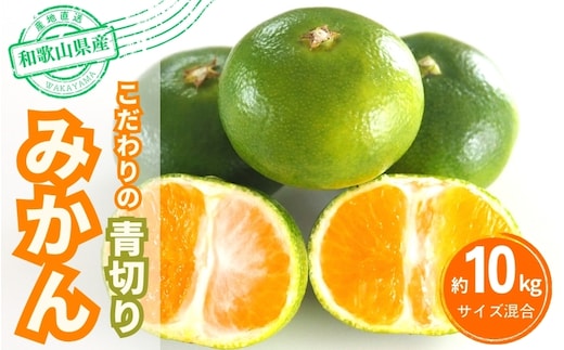 【2026年秋頃発送予約分】＼光センサー選別／ 【農家直送】こだわりの青切りみかん 約10kg 有機質肥料100% サイズ混合 ※2026年9月～10月に順次発送予定（お届け日指定不可）【nuk108F】 