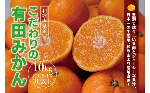【 先行予約 】有田みかん 約10kg 大玉3L以上 有機質肥料100% 光センサー選別 ※2026年11月～12月に順次発送(お届け日指定不可) みかん ミカン 有田ミカン 柑橘 フルーツ 果物 くだもの 旬 産地直送 農家直送 人気【nuk139F】 