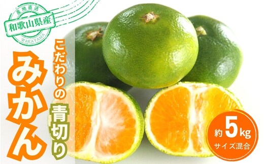 【2026年秋頃発送予約分】＼光センサー選別／ 【農家直送】こだわりの青切りみかん 約5kg 有機質肥料100% サイズ混合 ※2026年9月～10月に順次発送予定（お届け日指定不可）【nuk150D】 