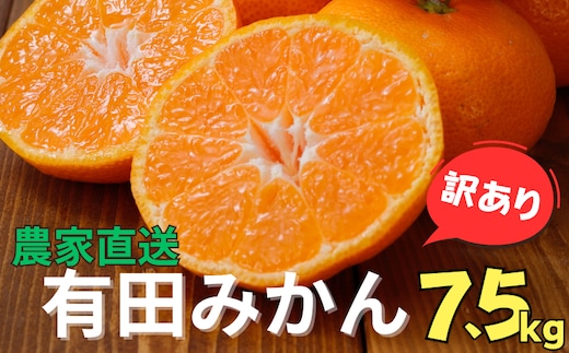 【訳あり】農家直送 有田みかん 約7.5kg ご家庭用 サイズ混合 ※2025年11月中旬より順次発送予定（お届け日指定不可）※北海道・沖縄・離島への配送不可 訳ありみかん みかん ミカン 蜜柑 柑橘 フルーツ 果物 くだもの 温州みかんサイズ混合 訳ありみかん 温州みかん 有機質肥料100% ふるさと納税 柑橘 有田 産地直送【nuk157D】