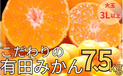 【農家直送】有田みかん 約7.5kg 大玉3L以上 有機質肥料100% ※2026年11月～12月に順次発送(お届け日指定不可) /みかん ミカン 温州みかん 柑橘 有田 和歌山 産地直送【nuk158D】