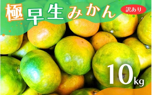 【2026年秋頃発送予約分】【訳あり】こだわりの極早生みかん 約10kg ※2026年10月から11月に順次発送予定（お届け日指定不可） 有機質肥料100% サイズ混合 有田産【nuk167B】 