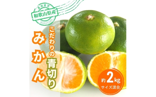 【2026年秋頃発送予約分】＼光センサー選別／ 【農家直送】こだわりの青切りみかん 約2kg 有機質肥料100% サイズ混合 ※2026年9月～10月に順次発送予定（お届け日指定不可）【nuk169B】 
