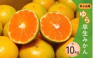 【2025年秋頃発送予約分】＼光センサー選別／ 【農家直送】甘くて濃厚！希少品種 ご家庭用 ゆら早生みかん 約10kg 有機質肥料100% ※2025年10月上旬～10月下旬頃順次発送予定（お届け日指定不可）【nuk110C】