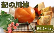 【希少】紀の川柿 約3.5～4kg（種無し）秀選品※2025年10月中旬～2025年11月中旬頃に順次発送【tec404B】