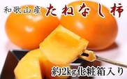 【秋の味覚】和歌山産のたねなし柿2L～4Lサイズ約2kg（化粧箱入り）【tec408A】