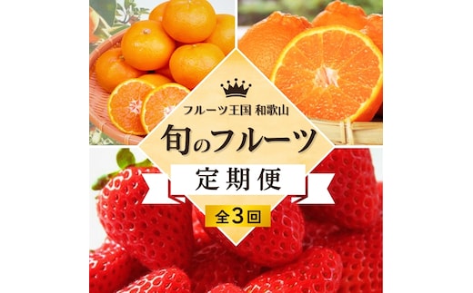 【全3回定期便】フルーツ大国和歌山よりお届け！旬のフルーツ定期便B【田村みかん・まりひめ・紀州デコ】 / フルーツ 果物 みかん いちご 旬 定期便 【tkb351】