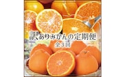 【3か月定期便】たっぷり届く♪訳ありみかんの定期便【tkb113】