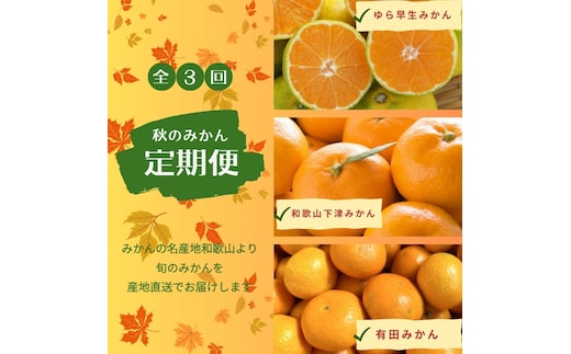 【3か月定期便】みかんの名産地和歌山発！秋のみかん定期便♪ゆら早生みかん・下津みかん・有田みかん【tkb362】