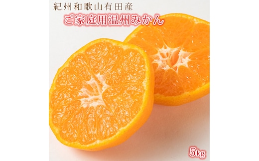 【先行予約】紀州有田産 濃厚完熟 温州みかん 5kg 【家庭用 訳あり】 ※2026年11月下旬頃～2027年1月下旬頃に順次発送予定【uot003】