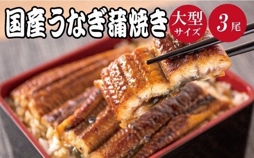 大型サイズ ふっくら柔らか国産うなぎ蒲焼き ３尾【uot303A-3】