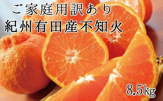 【ご家庭用訳あり】紀州有田産不知火(しらぬひ) 約8.5kg 【予約】※2026年2月中旬頃～2026年3月中旬頃に順次発送予定(お届け日指定不可)【uot507A】