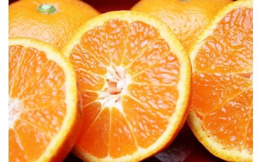 【訳あり】田村みかん 10kg【2026年11月下旬頃～2027年1月下旬頃に順次発送】【uot717】