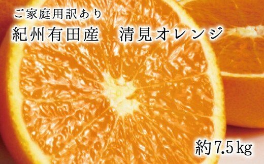 【ご家庭用訳アリ】紀州有田産 清見オレンジ 7.5kg ※※2026年3月下旬～2026年4月中旬頃に順次発送予定(お届け日指定不可)【uot730】
