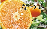 初夏のみかん　なつみ5kg【予約】※2026年4月中旬頃～2026年4月下旬頃に順次発送予定(お届け日指定不可)【uot501-2】