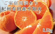 【ご家庭用訳あり】紀州有田産不知火(しらぬひ) 約8.5kg 【予約】※2026年2月中旬頃～2026年3月中旬頃に順次発送予定(お届け日指定不可)【uot507A】