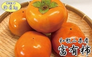 和歌山秋の味覚　富有柿　約4kg　化粧箱入　※2025年11月上旬頃～2025年12月上旬頃発送（お届け日指定不可）【uot703】