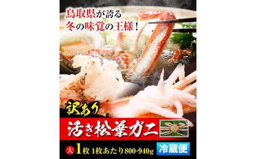 ふるさと納税】【活き】訳あり 松葉ガニ 大 1枚(1枚/800～940g前後) 高