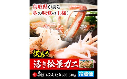 ふるさと納税】【活き】訳あり 松葉ガニ 中 3枚(1枚/500～640g前後) 高