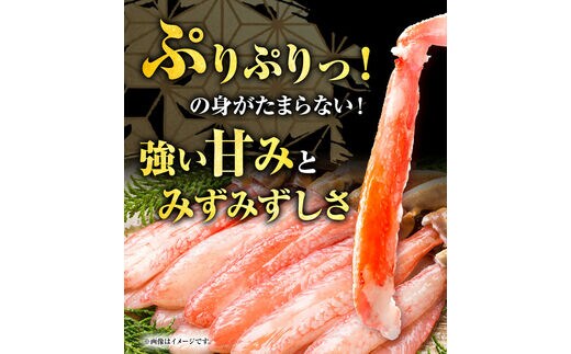 紅ズワイガニ 訳あり カニ 紅 ズワイガニ ふるさと納税 1kg 2～3杯分