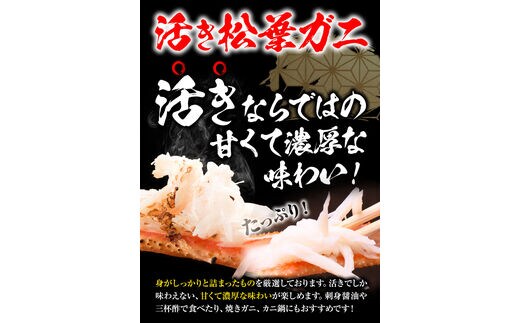 ふるさと納税】【活き】訳あり 松葉ガニ 大 1枚(1枚/800～940g前後) 高