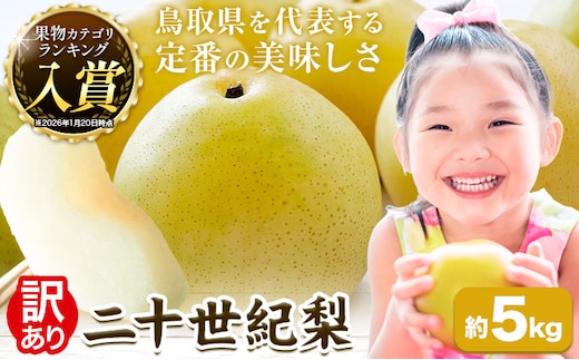 先行予約 【訳あり】二十世紀梨 約5kg《8月下旬-9月下旬頃出荷》二十世紀梨 梨 ご家庭用 旬 二十世紀 鳥取県 八頭町 なし 果物 フルーツ 特産品 送料無料 果汁 デザート 八頭---yazu_zsy_248_5kg---