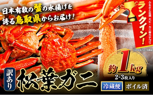 ＼12/23決済完了分まで年内配送／訳あり カニ 松葉ガニ 約1kg 2～3枚《2025年11月中旬-2026年3月中旬に出荷予定》鳥取県 八頭町 送料無料 蟹 かに 姿 鍋 ズワイガニ 松葉ガニ ズワイ蟹 ボイル 冷蔵便 松葉蟹 海鮮 魚介---yazu_zsy2_44_1---