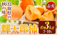 輝太郎柿 3kg 7～10玉 先行予約《10月上旬-10月下旬頃より出荷予定》JA鳥取いなば 鳥取県 八頭町 柿 かき カキ くだもの くだもの 果物 青果物 フルーツ---yazu_jti_32_3kg---