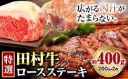 田村牛 特選ロースステーキ 特選ロース肉 200g×2枚 計400g 八頭町観光協会 肉のたむら 鳥取県 八頭町《90日以内に出荷予定(土日祝除く)》牛肉 ロース ステーキ 送料無料---yazu_ykk_33_400g---