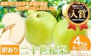 【2026年先行予約】【訳あり】二十世紀梨 約4kg (6~13玉) L~5Lサイズ 《2026年8月下旬-10月上旬頃出荷》高間商店 鳥取県 八頭町 梨 なし ナシ 果物 フルーツ ご家庭用　　先行予約　ふるさと納税　送料無料　甘い　果実　果汁　デザート---yazu_tkm_97_4---