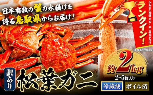 ＼12/23決済完了分まで年内配送／訳あり カニ 松葉ガニ 約2kg 2～5枚《2025年11月中旬-2026年3月中旬に出荷予定》鳥取県 八頭町 送料無料 蟹 かに 姿 鍋 ズワイガニ 松葉ガニ ズワイ蟹 ボイル 冷蔵便 松葉蟹 海鮮 魚介---yazu_zsy2_45_2---