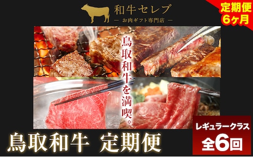 【和牛セレブ】 鳥取和牛 定期便 レギュラークラス 全6回 6ヶ月『和牛セレブ｜お肉ギフト専門店』《お申込み月の翌月から発送》鳥取県 八頭町 和牛 牛 牛肉 国産 黒毛和牛 和牛セレブ しゃぶしゃぶ 焼肉---yazu_giv_216_tei---