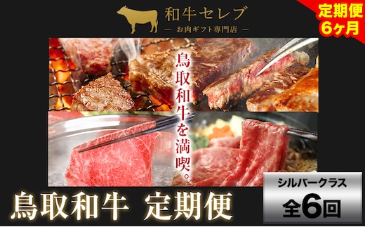 【和牛セレブ】 鳥取和牛 定期便 シルバークラス 全6回 6ヶ月『和牛セレブ｜お肉ギフト専門店』《お申込み月の翌月から発送》鳥取県 八頭町 和牛 牛 牛肉 国産 黒毛和牛 和牛セレブ しゃぶしゃぶ 焼肉---yazu_giv_237_tei---