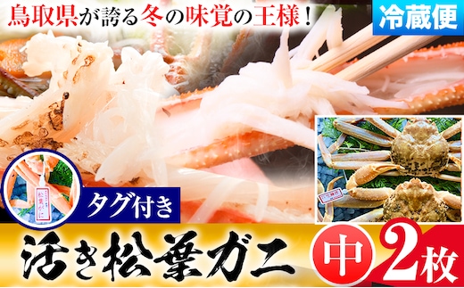 【先行予約】【活き】タグ付き松葉ガニ 中2枚(1枚500～640g) 高間商店《11月中旬-3月下旬頃出荷》鳥取県 八頭町 送料無料 カニ 蟹 かに 松葉ガニ タグ付き ブランド 国産 ふるさと納税---yazu_tkm2_131_m---