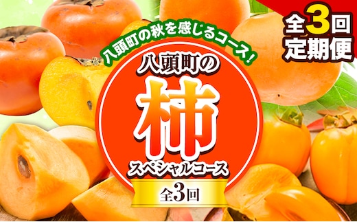 【先行予約】【全3回定期便】八頭の柿スペシャルコース 《10月上旬-12月下旬頃出荷》JA鳥取いなば 鳥取県 八頭町 柿 かき 果物 フルーツ 定期便 頒布会 輝太郎柿 西条柿 こおげ花御所柿---yazu_jti_28_---