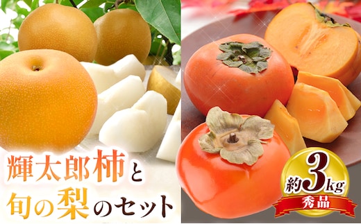 【2026年先行予約】かき 柿 梨 なし 輝太郎柿と旬の梨セット 秀品 約3kg《10月上旬‐10月末頃出荷》 鳥取県 八頭町 果物 くだもの フルーツ セット 高間商店 送料無料---yazu_tkm_118_3---