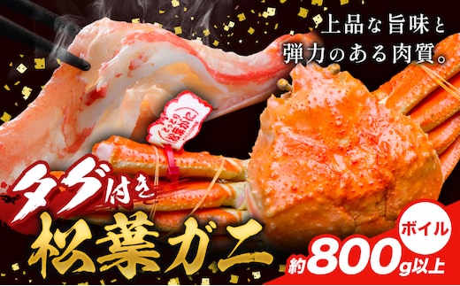 かに タグ付き 松葉ガニ 約800g 以上 ボイル 《11月上旬-4月中旬頃出荷》お魚センターみくりや 鳥取県 八頭町 蟹 かに カニ 鍋 松葉ガニ ボイル 送料無料---yazu_mkr_6_800b---