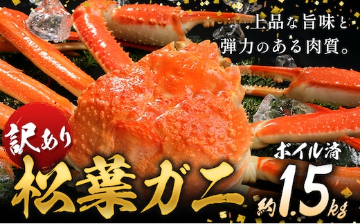 かに 訳あり 松葉ガニ 1.5kg ボイル済み 冷蔵 《11月上旬-4月中旬頃出荷》お魚センターみくりや 鳥取県 八頭町 蟹 かに カニ 鍋 松葉ガニ ボイル 送料無料 訳あり 訳アリ---yazu_mkr_3_1500---