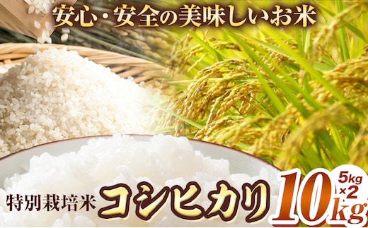 特別栽培米 コシヒカリ 10kg（5kg×2袋）有限会社 田中農場《90日以内に出荷予定(土日祝除く)》鳥取県 八頭町 米 お米 ご飯 送料無料---yazu_tnj_9_10kg---