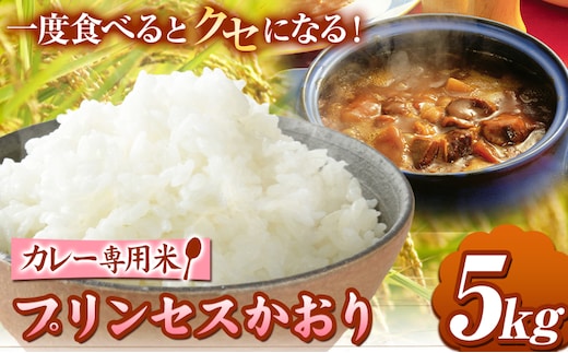 カレー専用米 プリンセスかおり 5kg 有限会社 田中農場《90日以内に出荷予定(土日祝除く)》鳥取県 八頭町 米 お米 ご飯 カレー 送料無料5kg---yazu_tnj_10_5kg---