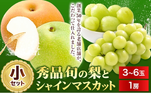 【2026年先行予約】梨 なし シャインマスカット と 旬 の 梨 セット (小) 高間商店《2026年8月下旬-10月中旬頃出荷予定》 鳥取県 八頭町 果物 くだもの フルーツ マスカット ナシ ぶどう ブドウ---yazu_tkm_153_s---