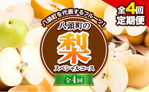 【先行予約】【全4回定期便】八頭の梨スペシャルコース 定期便 《8月下旬-11月末頃出荷》JA鳥取いなば 鳥取県 八頭町 梨 なし 果物 フルーツ 定期便 頒布会 新甘泉 二十世紀梨 新興梨 王秋梨---yazu_jti_35_---
