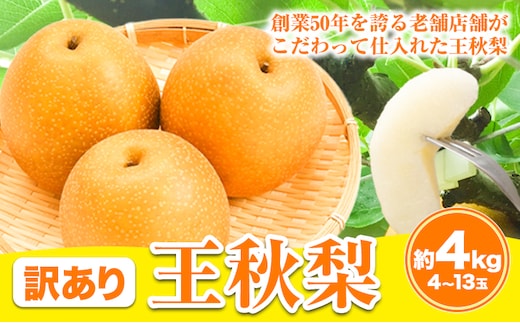 【2026年先行予約】【訳あり】王秋梨 約4kg (4~13玉) 高間商店《2026年10月下旬-2027年1月中旬頃出荷》 鳥取県 八頭町 梨 なし ナシ 果物 フルーツ ご家庭用 先行予約 ふるさと納税 送料無料 甘い 果実 果汁 デザート 王秋梨---yazu_tkm_111_4---