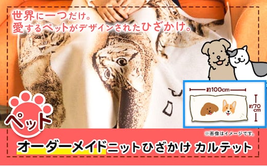 ペットオーダーメイドニット ひざかけ「カルテット」 有限会社 三浅あみものセンター 《90日以内に出荷予定(土日祝除く)》鳥取県 八頭町 思い出 オーダーメイド ひざかけ ペット ニット---yazu_mas_5_5---