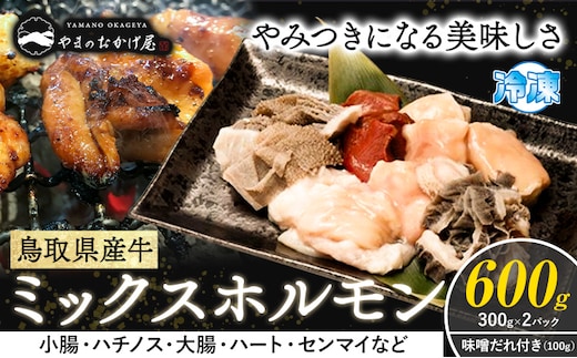 鳥取県産牛 ミックスホルモン 600g やまのおかげ屋《90日以内に出荷予定(土日祝除く)》鳥取県 八頭町 和牛 ホルモン 小腸 大腸 ハチノス ハート センマイ ミックス---yazu_yoy_67_600g---