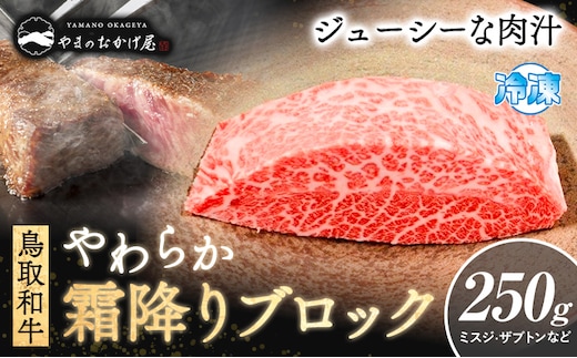 鳥取和牛 やわらか霜降りブロック 250g やまのおかげ屋《90日以内に出荷予定(土日祝除く)》鳥取県 八頭町 和牛 ブロック肉 ステーキ 送料無料 牛肉 肉 牛---yazu_yoy_66_b---